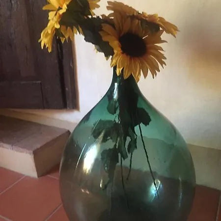 Apartment Le Colline